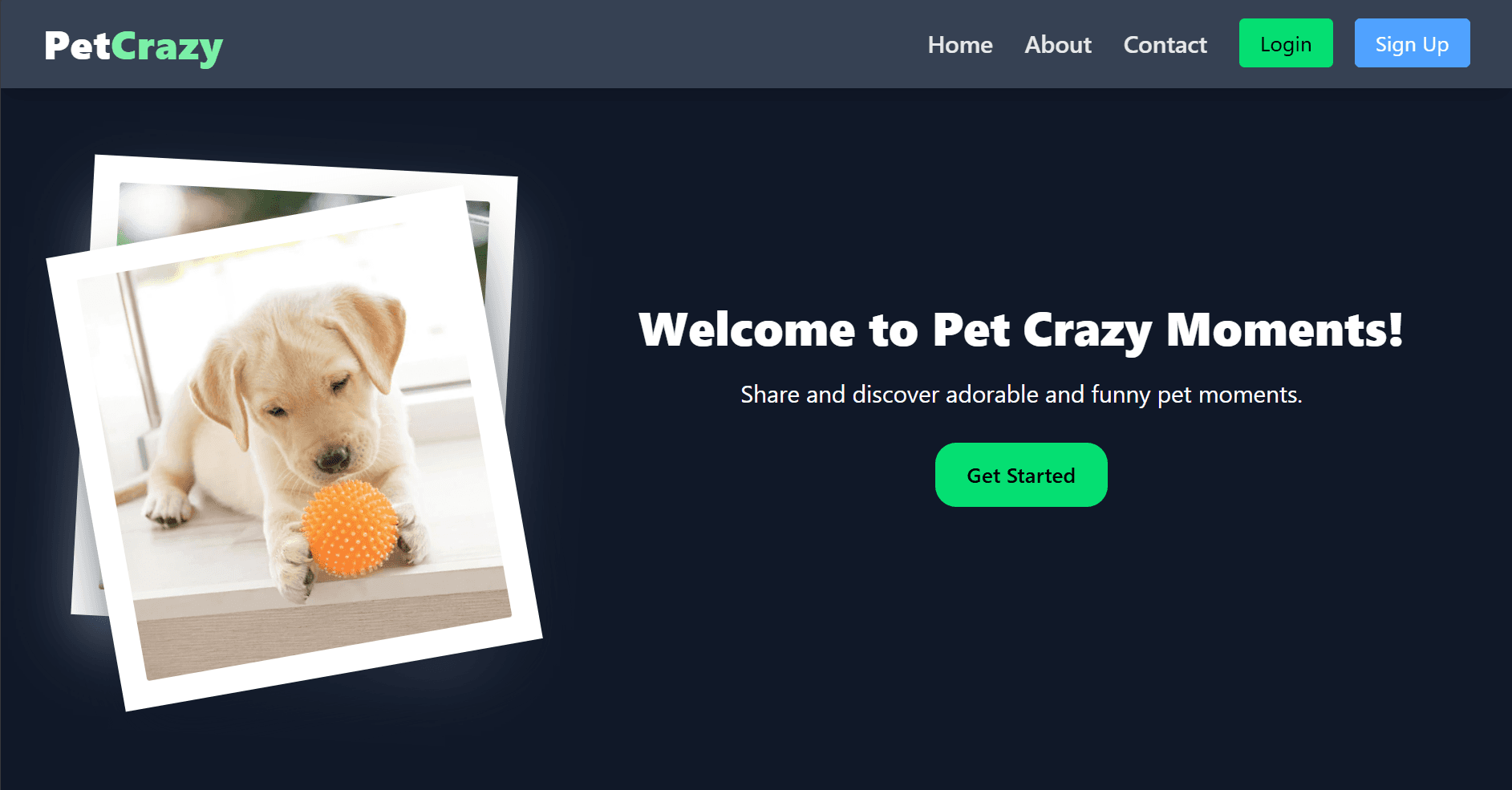 PetCraze